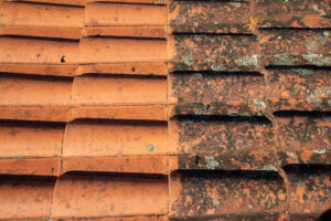 roof-cleaning-before-after-gallery